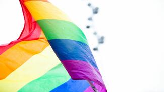 Business support for LGBT+ staff