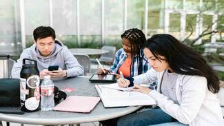 College students doing school work