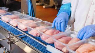 Food manufacturing 