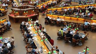 University students in south africa