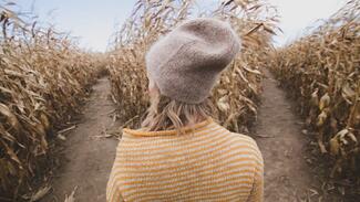 gap year considerations