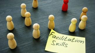 skills development facilitation