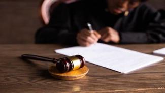 gavel (law hammer)